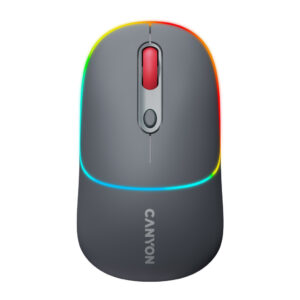 Мишка Canyon MW-22 Dual Band RGB Wireless Dark Grey (CNS-CMSW22DG)